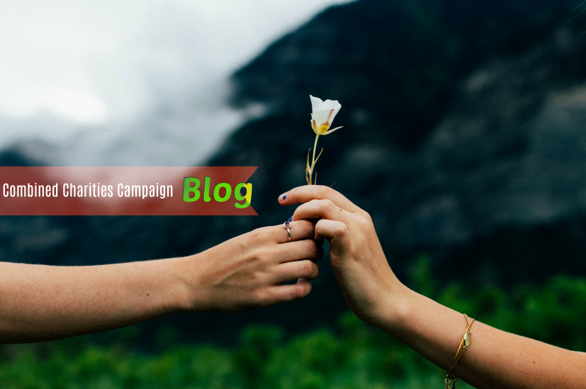 Blog Header