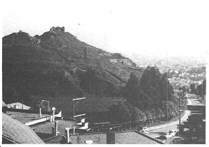 an urban part and hillside