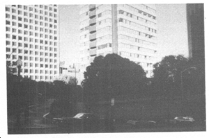 a park in deep shadow