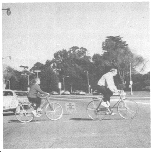 folks riding bikes